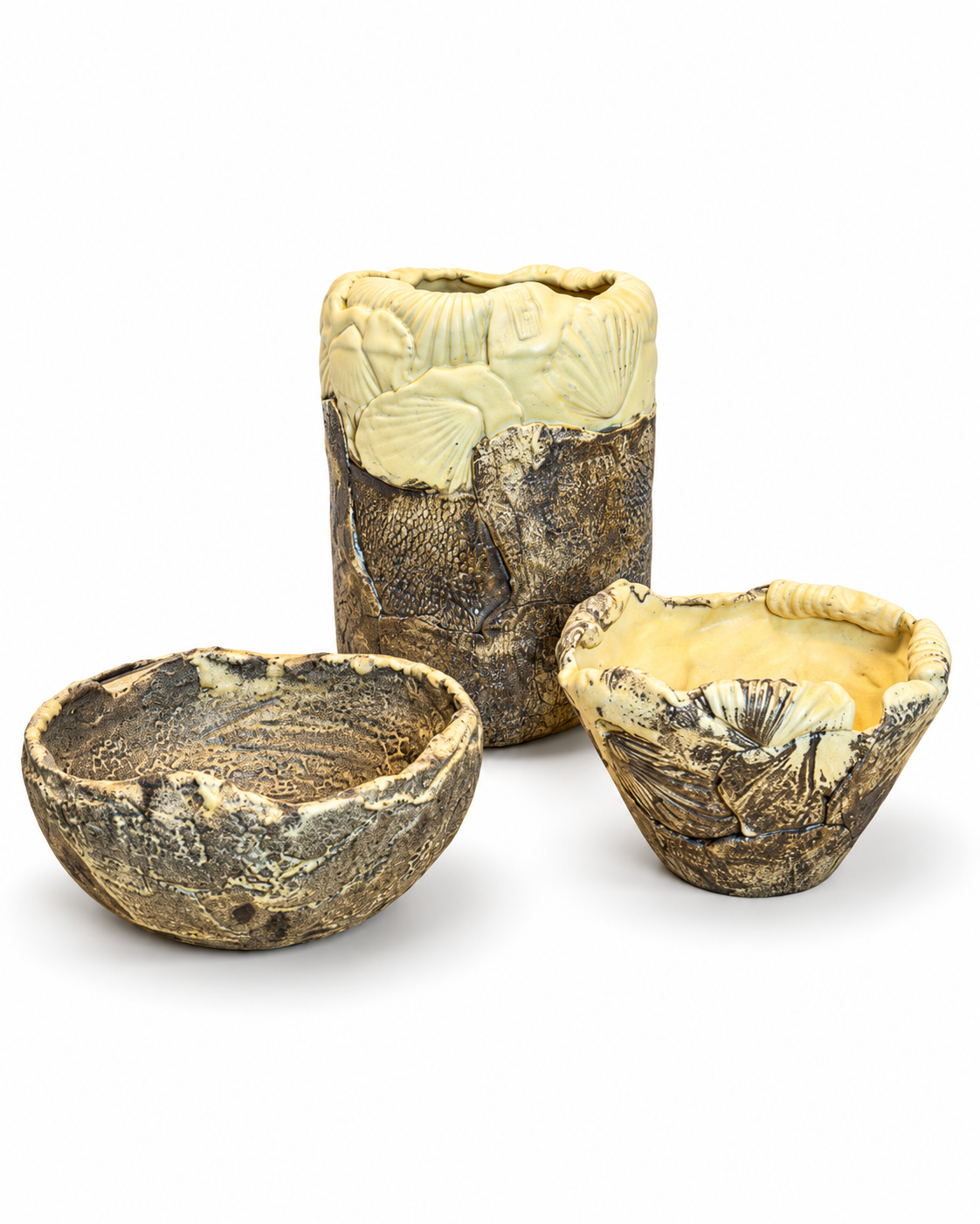 Fossil Shore Trio