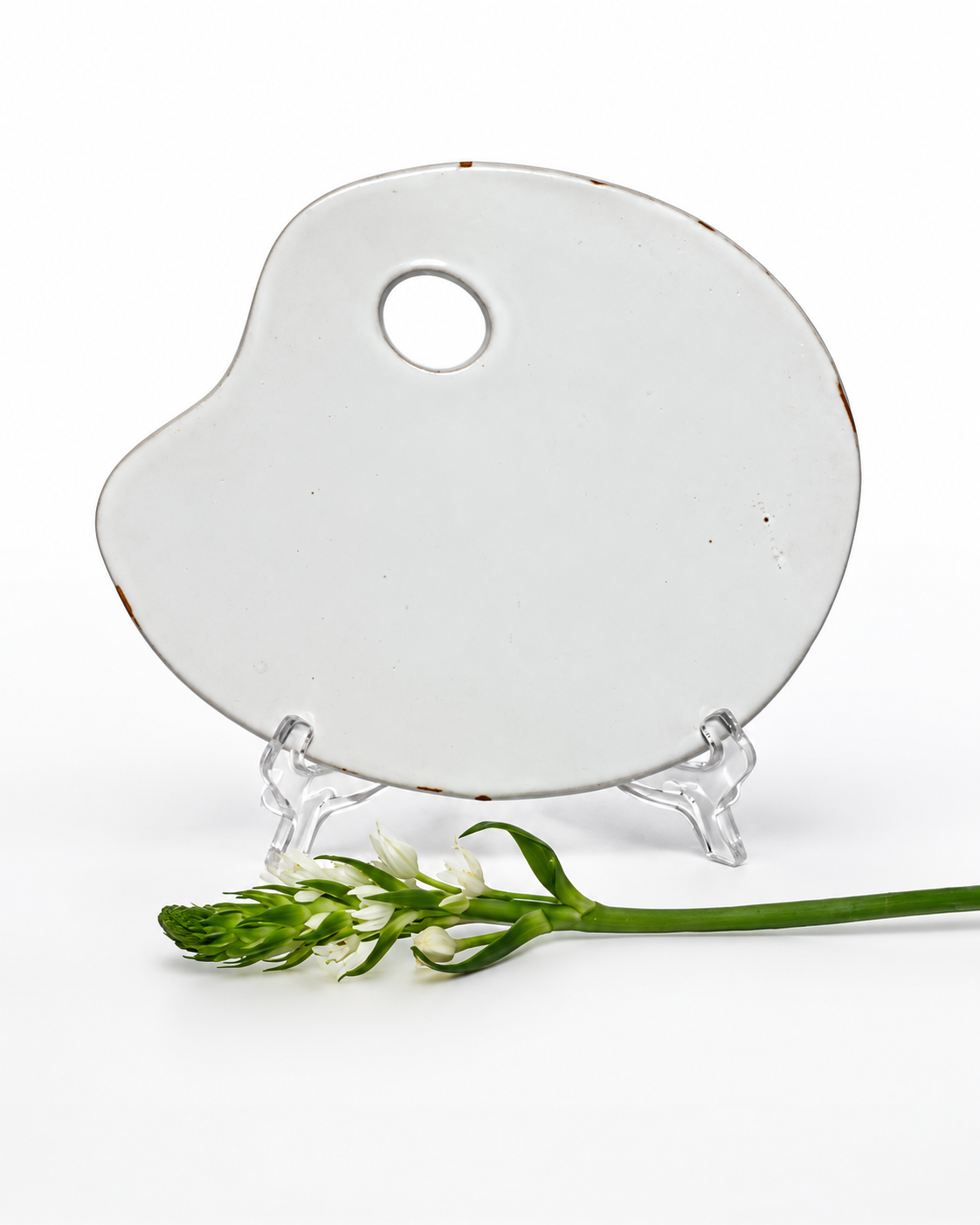 Painter's Palette Plate